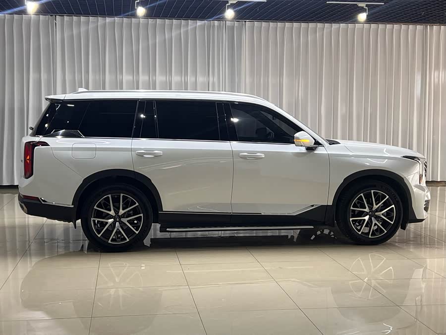Trumpchi Trumpchi GS8 2024 Pioneer 2.0TGDI