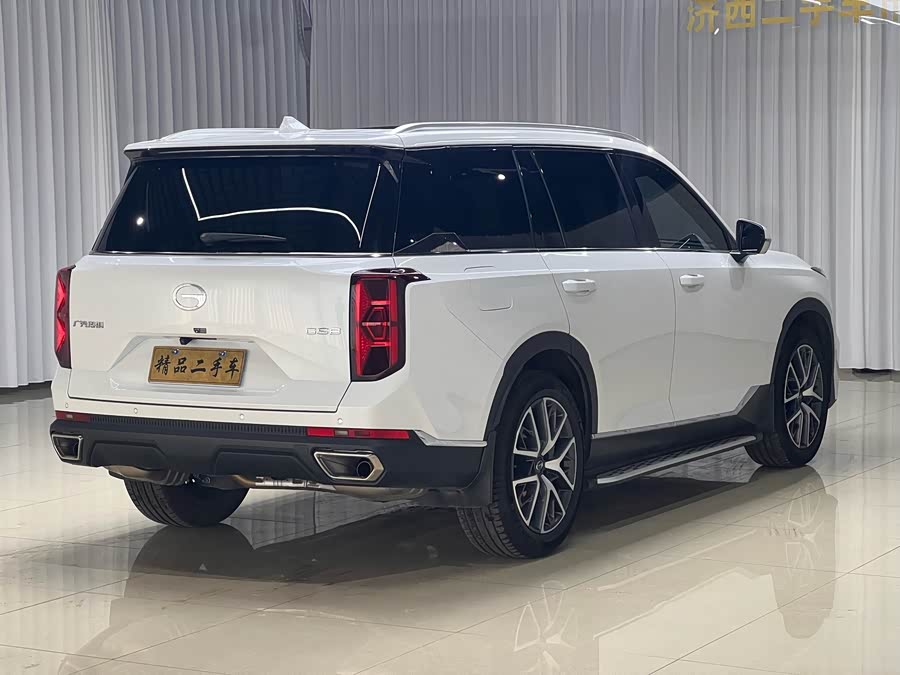 Trumpchi Trumpchi GS8 2024 Pioneer 2.0TGDI
