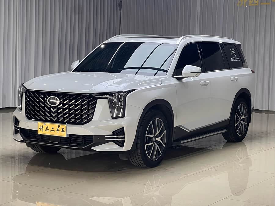 Trumpchi Trumpchi GS8 2024 Pioneer 2.0TGDI