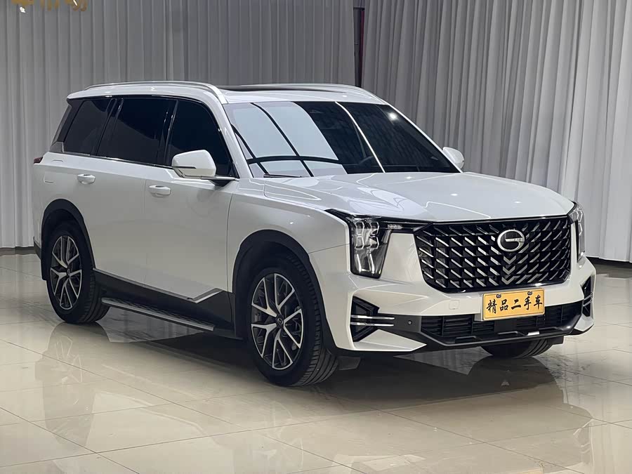 Trumpchi Trumpchi GS8 2024 Pioneer 2.0TGDI