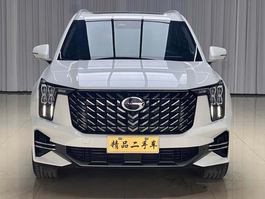 Trumpchi Trumpchi GS8 2024 Pioneer 2.0TGDI