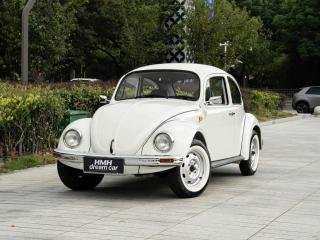 Tanyue Beetle